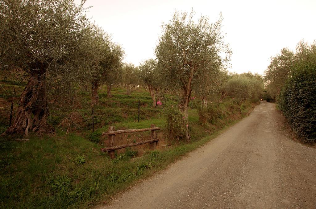 Fattoria Di Camporomano Massarosa Exterior foto